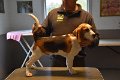 Afb_20171112_cooper (4)